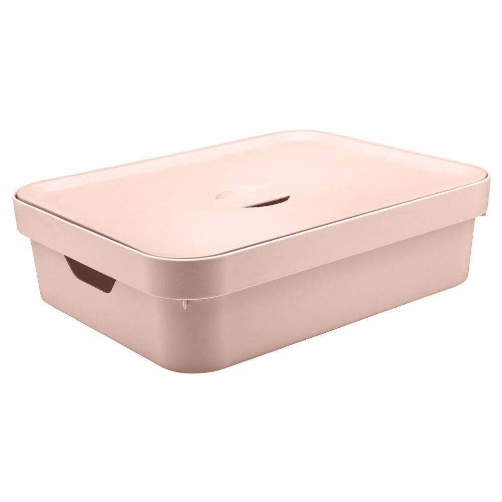 CAJA ORGANIZADORA PLASTICO ROSA CUBE CC550 16L