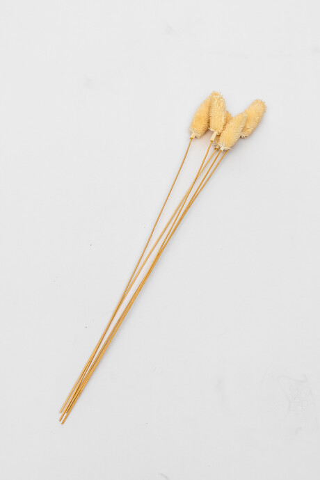 Deco Floral Pennisetum Color Unico