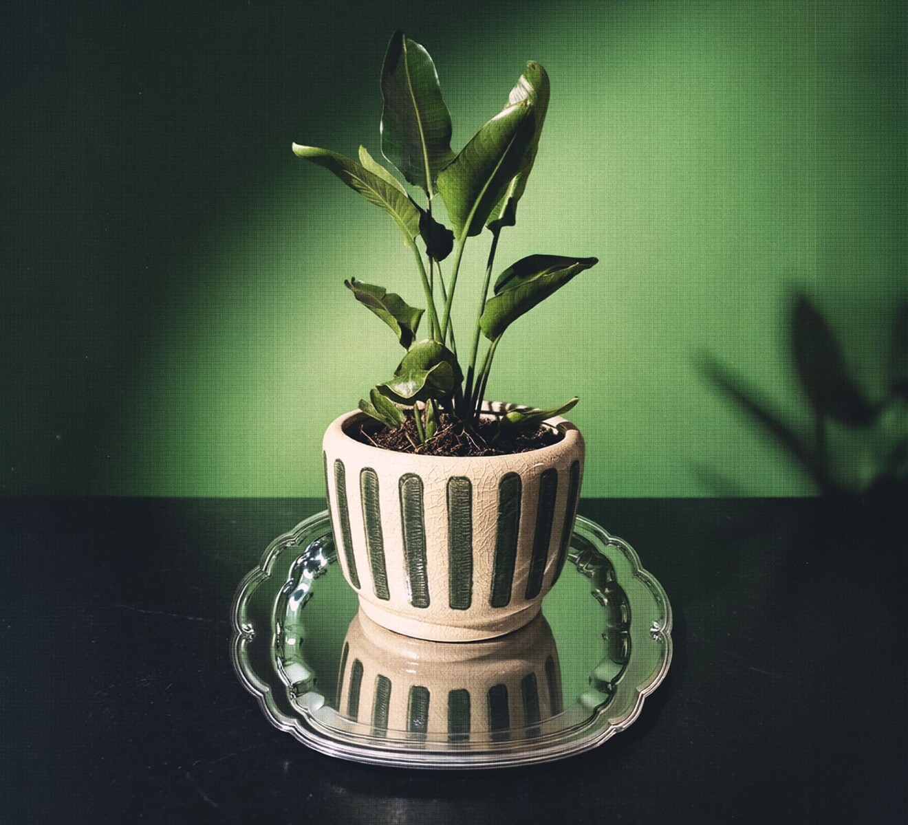 Maceta de cerámica Toscana - Rojo - verde oscuro 