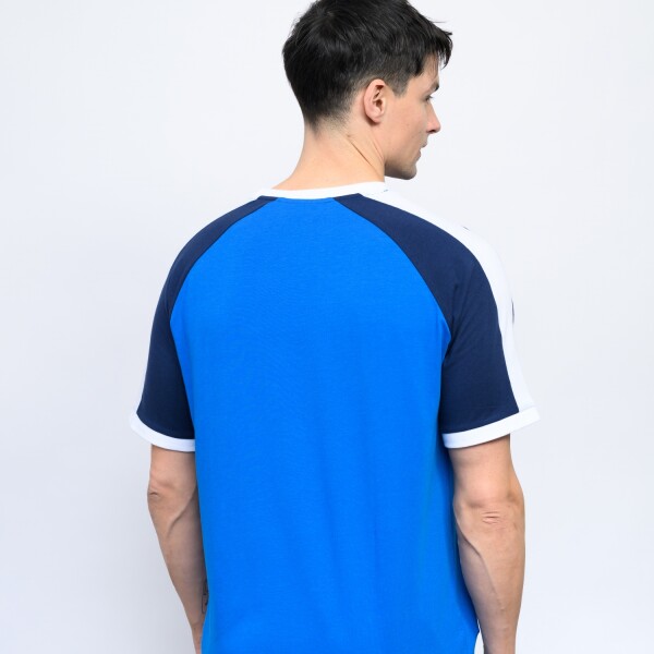 REMERA FITZ Nacional Hombre 619