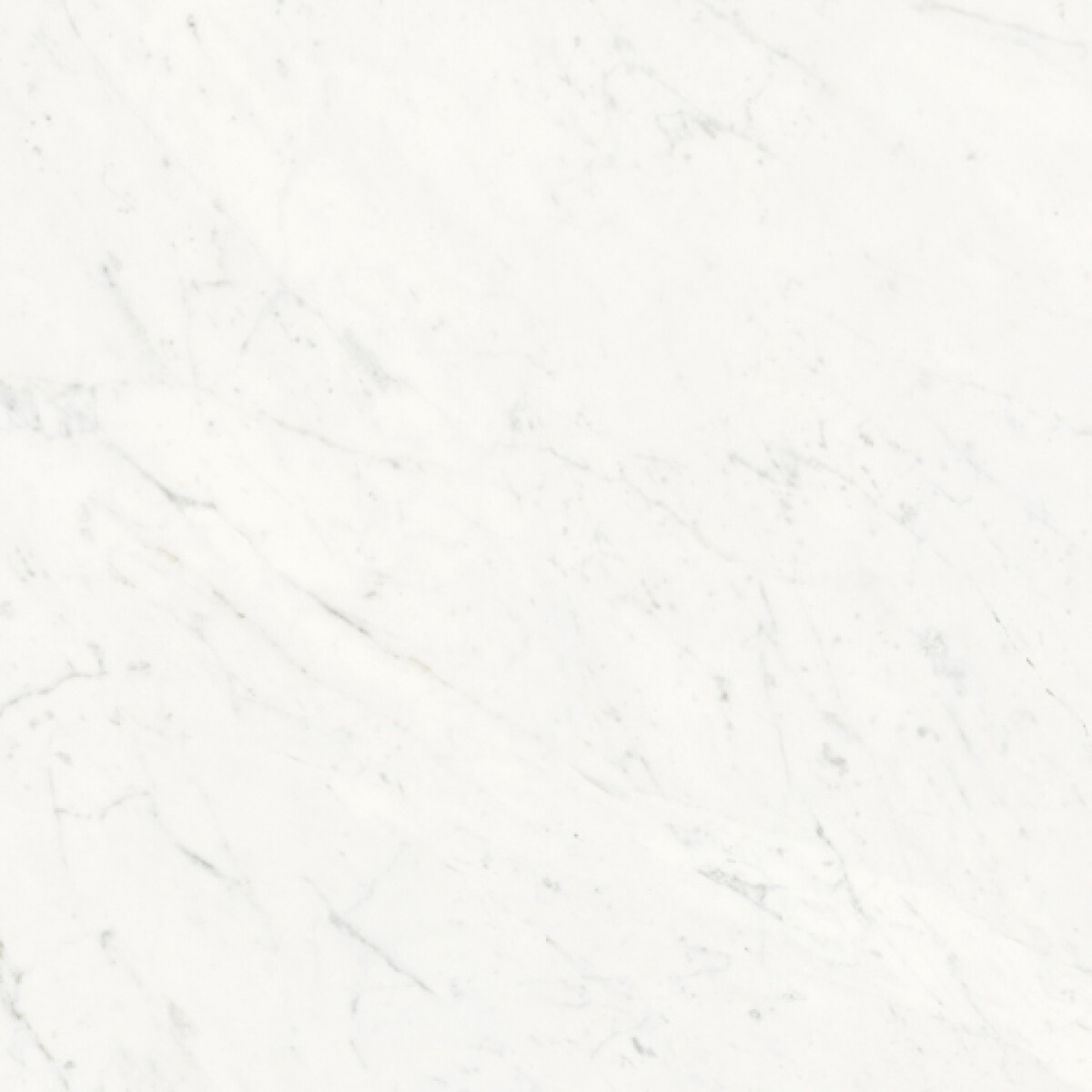 Porcelanato Rectificado Mate Lumina Carrara Nat "a" 100x100 Cm 