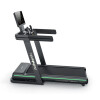 Cinta de Caminar Athletic 4500T Cinta de Caminar Athletic 4500T