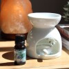 Aceite 10ml hornito Lavanda