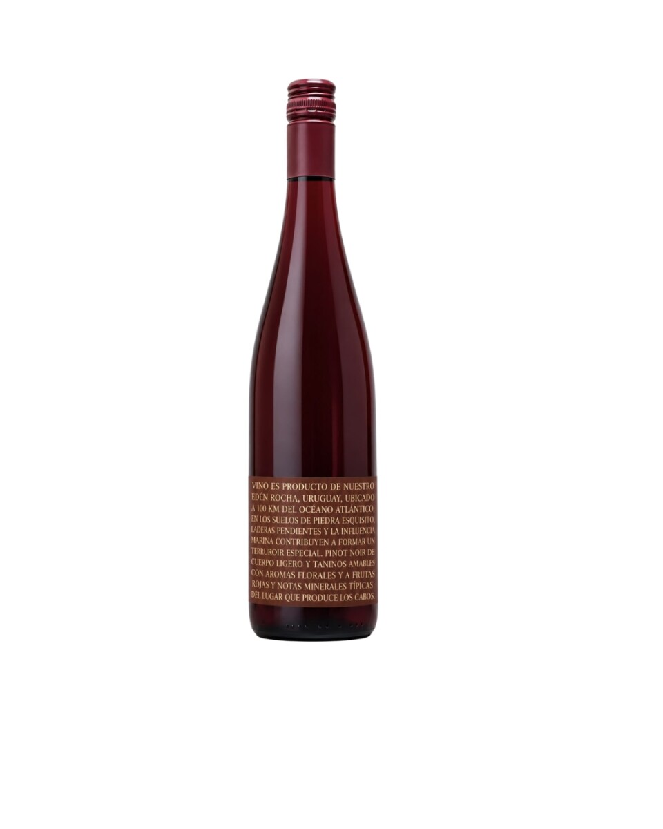 Becasina Wines Los Cabos Pinot Noir 