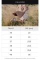 CALZADO DEPORTIVO PADDOCK DRAGONETTE Beige
