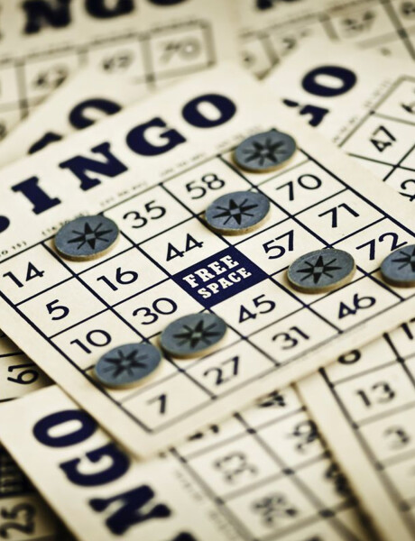 Lotería y Bingo Didacta Lotería y Bingo Didacta