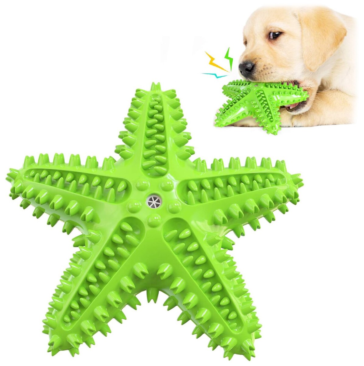 Juguete Perro Dental Morder Higiene Estrella Marina Flotante - Color Variante Verde 