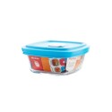 VIANDA DE VIDRIO FACILITA VAP 300ML MARINEX VIANDA DE VIDRIO FACILITA VAP 300ML MARINEX