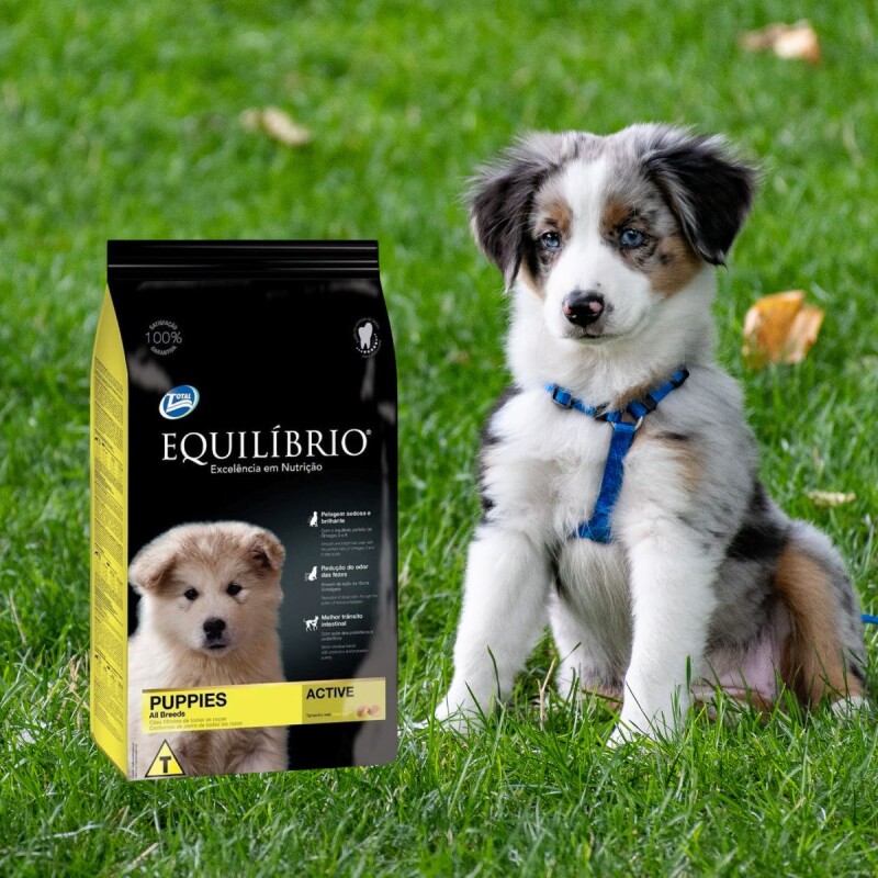 EQUILIBRIO PERROS CACHORROS TODAS LAS RAZAS 2 KG