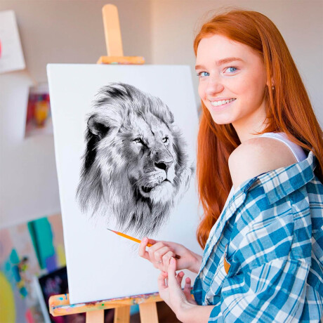 Set De Lienzos Con Bastidores P/pintar 12 Pcs Cuadro Set De Lienzos Con Bastidores P/pintar 12 Pcs Cuadro