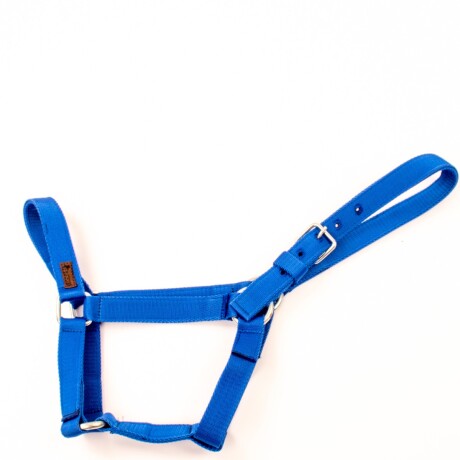 bozal de cinta Azul