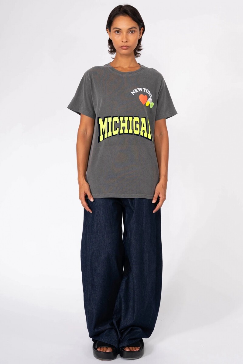 CAMISETA NWTLOVE Gris