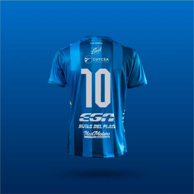 Camiseta ALT Cerro 2026 Camiseta ALT Cerro 2026