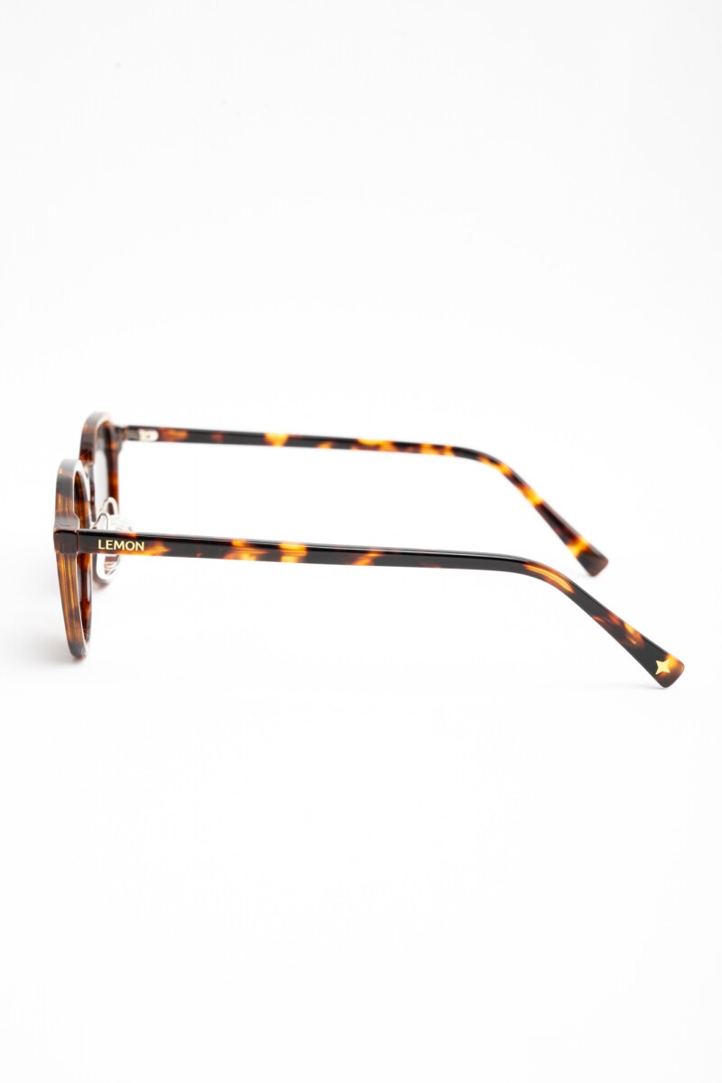 Lentes De Sol Polarizados Marron
