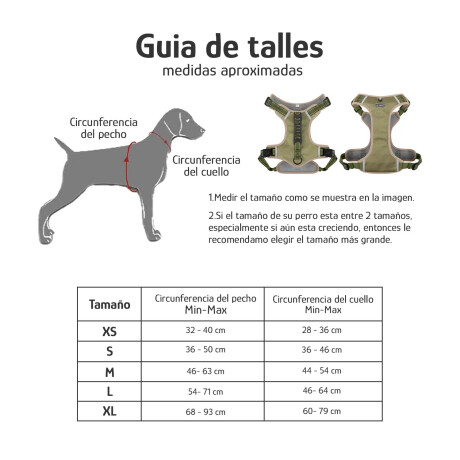 Arnés Y Correa P/Mascota Ajustable Tela Oxford Resistente Amarillo