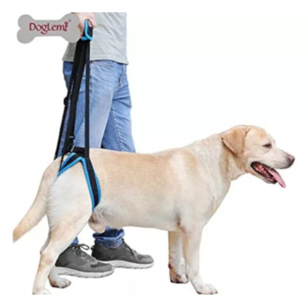 IM60017M - ARNES TRASERO AYUDA IM60017M - ARNES TRASERO AYUDA