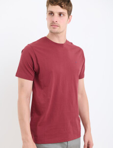 520658 T-SHIRT HARRINGTON LABEL Bordo