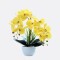 Orquidea Con Maceta Blanca Amarillo
