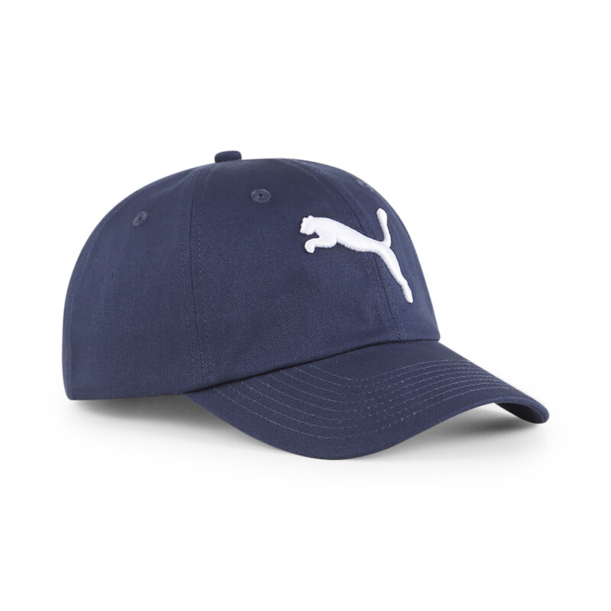 ESS Cat Logo BB Cap 02458717 - Azul 