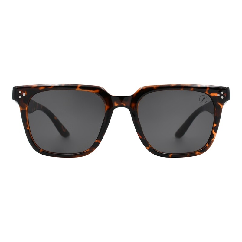 Lentes de Sol Chilli Beans Andorra Animal Print