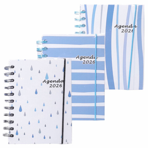 Agendas 2026 un día por página tamaño A6 Agendas 2026 Un Día Por Página Tamaño A6