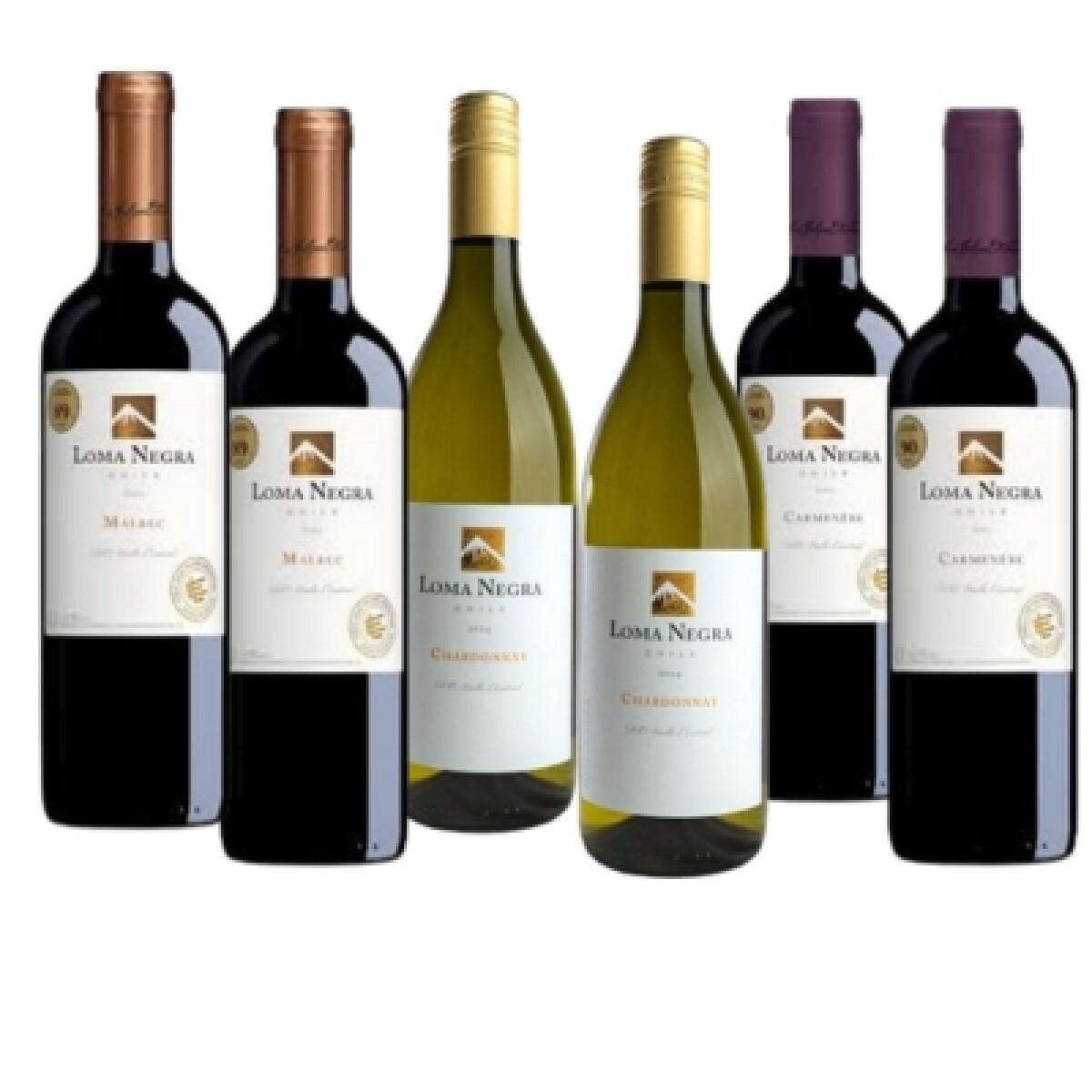 Selección Loma Negra (Chile) 