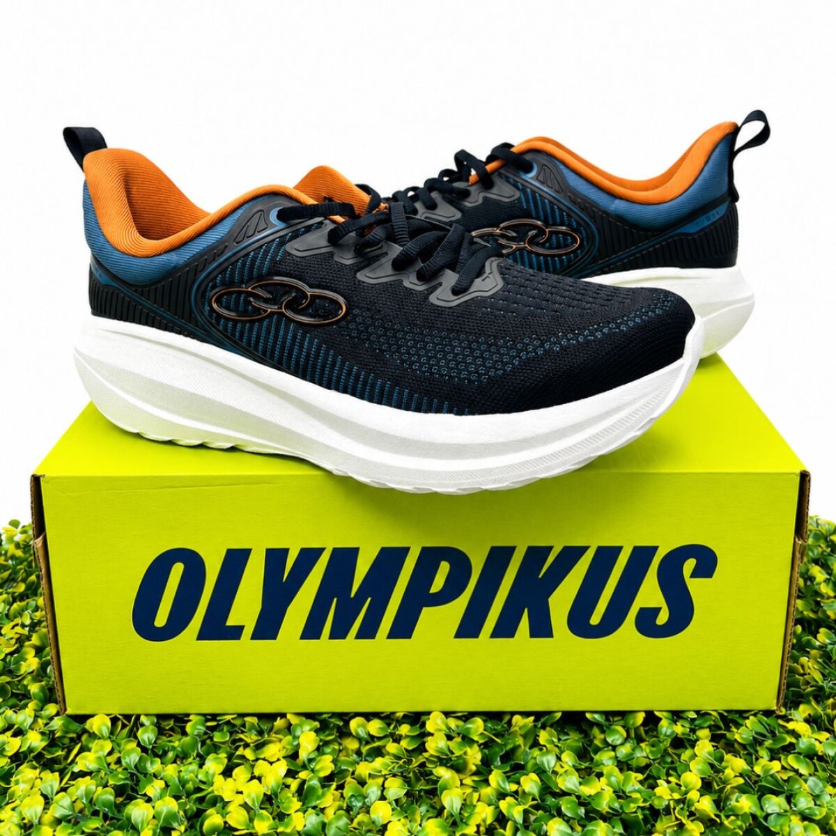 CHAMPION OLYMPIKUS CURVA 