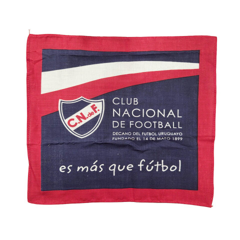 Pack x 4 Pañuelos Infantiles Nacional 25 x 25 cm U