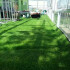 Césped Sintético Pasto Artificial 2cm Exterior 2 M2 Jardín Césped Sintético Pasto Artificial 2cm Exterior 2 M2 Jardín