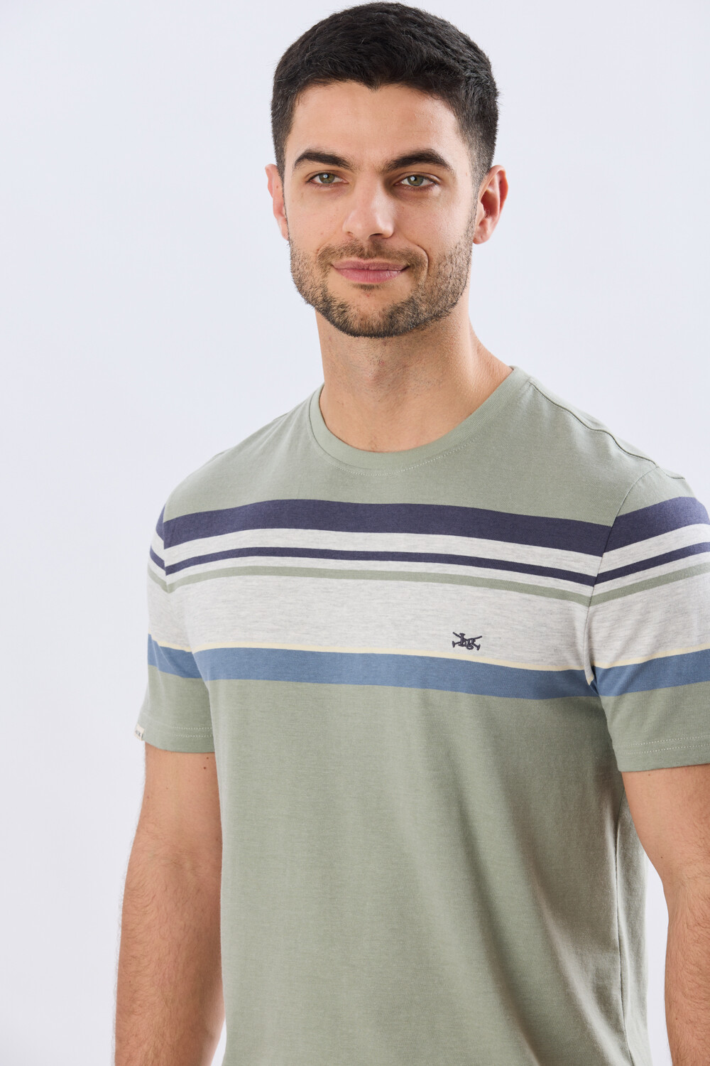 REMERA RAYADA DE ALGODÓN Pistacho