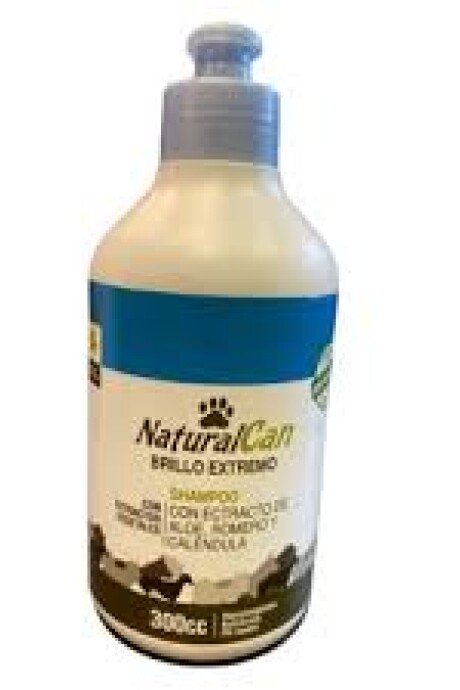 SHAMPOO BRILLO EXTREMO SHAMPOO BRILLO EXTREMO