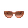 Ray Ban Rb2286 Doreen 1415/a5