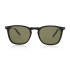 Serengeti Delio 8947 polarized Serengeti Delio 8947 Polarized