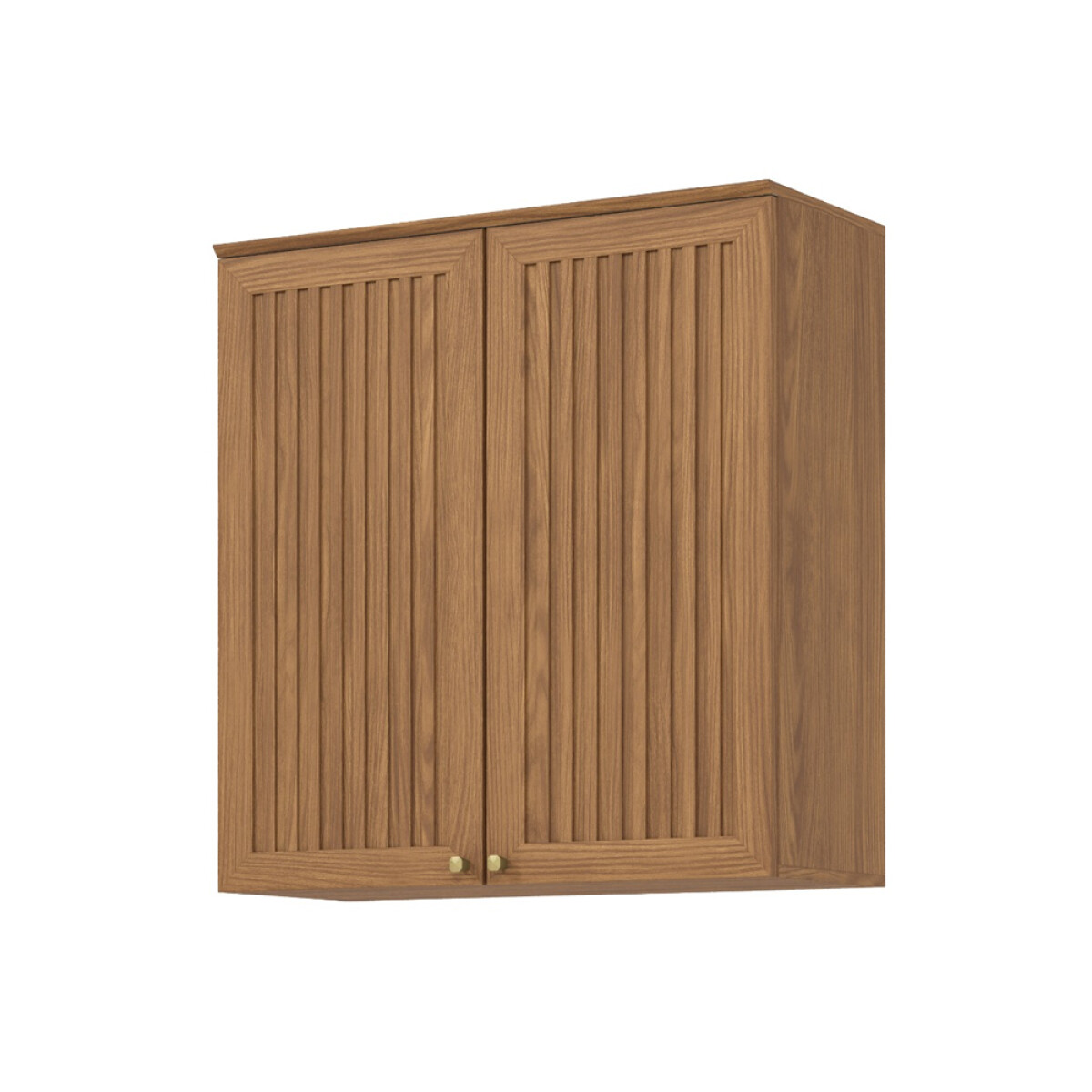 AÉREO ALACENA 2 PUERTAS CON ESTANTES 