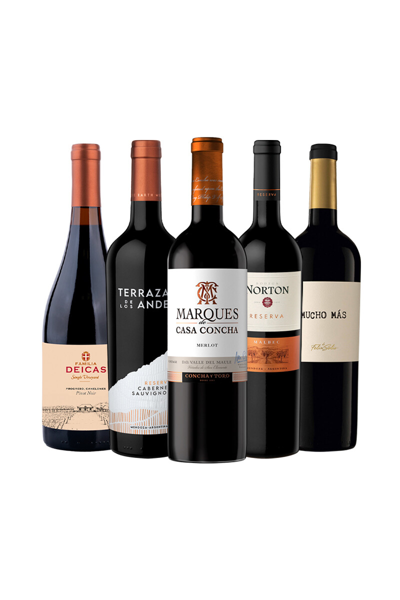 Pack Bacán Selección Special Picks x5 vinos 