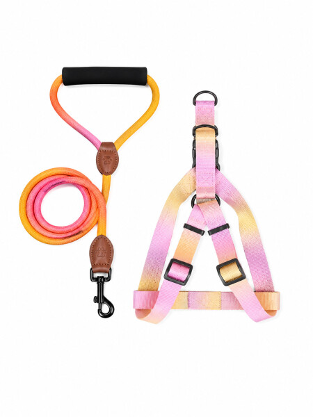 ARNES AJUSTABLE CON CORREA MULTICOLOR