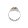 Anillo Profesión Ingeniero agrónomo-Plata y Oro-Sin Piedra-AP5009 - Adulto - Sinpiedra