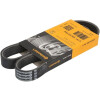 CORREA DE ALTERNADOR CADDY / POLO 1.9D SIN AIRE 6X925 Correa De Alternador Caddy / Polo 1.9d Sin Aire 6x925