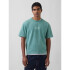 INTL HVY CROP LOGO T BOGGY GREEN 811
