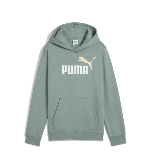 Buzo de Hombre Puma Logo Hoodie Verde
