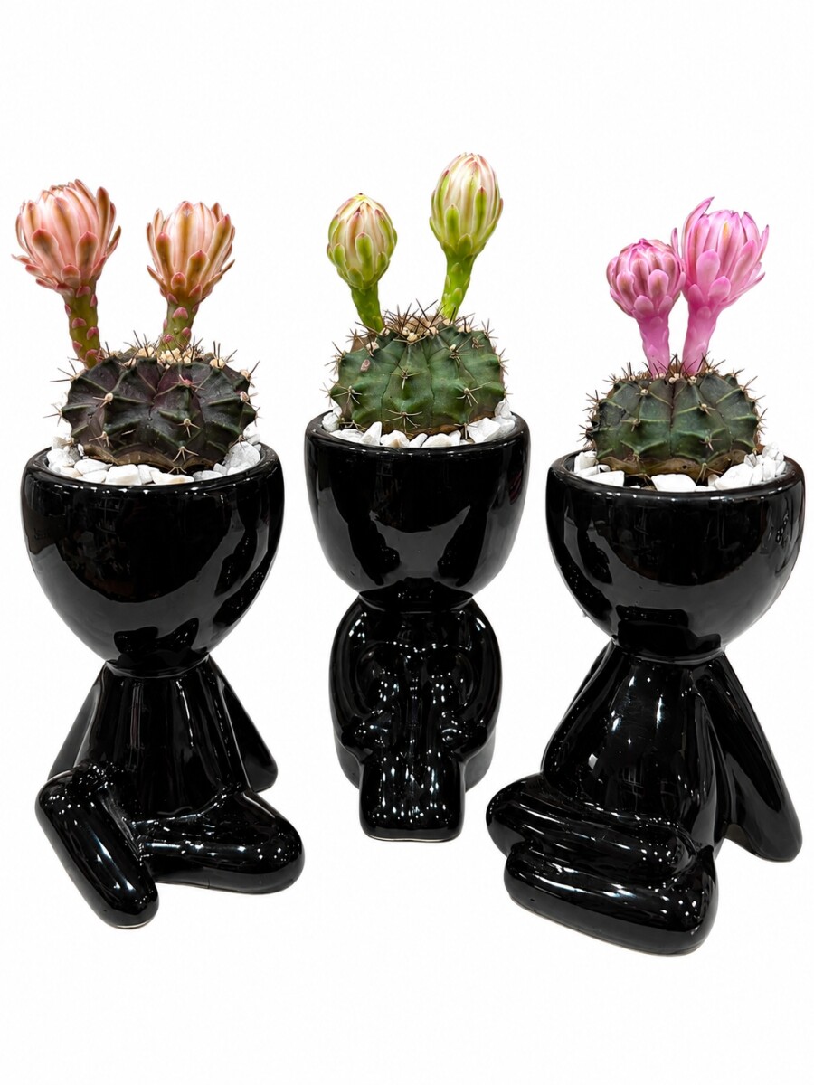 LITTLE PEOPLE CON CACTUS NEGRO