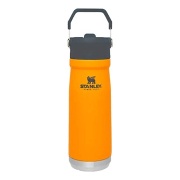 BOTELLA CARAMAÑOLA TERMICA STANLEY 22OZ SAFFRON 10-09991-029 BOTELLA CARAMAÑOLA TERMICA STANLEY 22OZ SAFFRON 10-09991-029