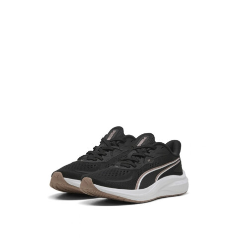 CHAMPION 36-41 NEGRO/COBR