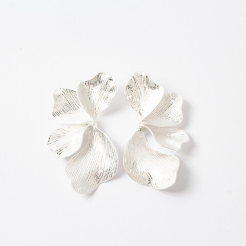 CARAVANAS EVREN PLATEADAS CARAVANAS EVREN PLATEADAS