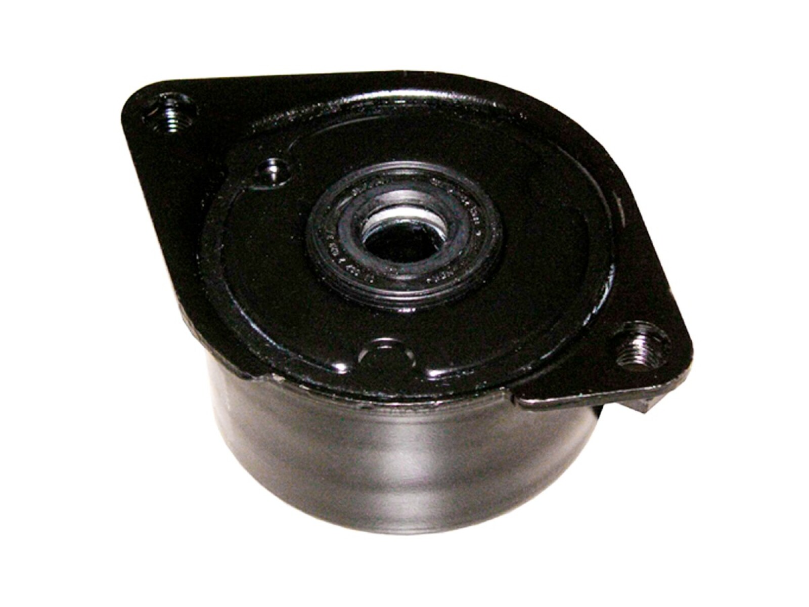 Tensor De La Correa BMW X5 D (E53)/330Xd (E46)/530D (E39) Land Rover Freelander 99-25 