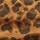 Sombrero Leopardo Print 1