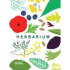 Herbarium Herbarium