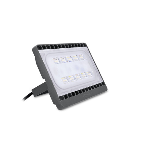 Proyector LED 30W 2600Lm IP65 luz fría PH8010Y