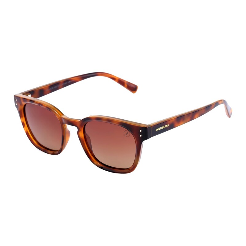 Lentes de Sol Chilli Beans Yakarta Animal Print