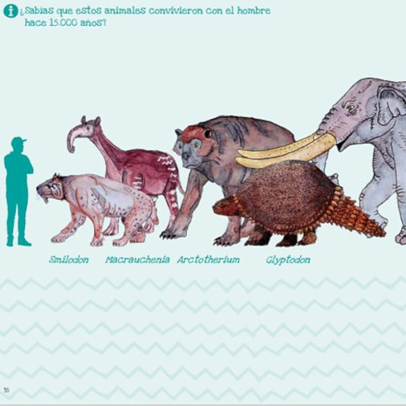 Libro De Actividades Dinosaurios Libro De Actividades Dinosaurios